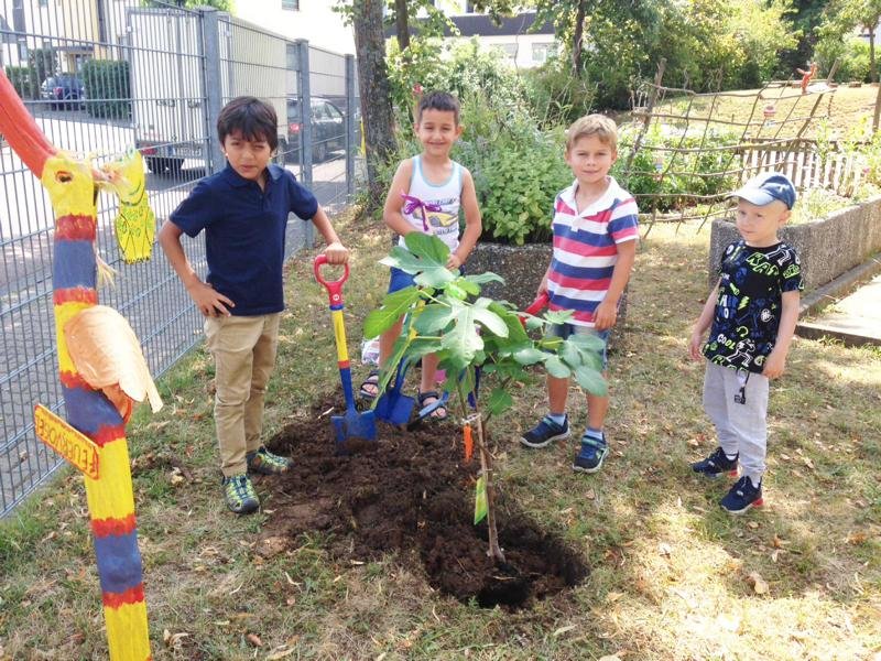 Foto: Kinder pflanzen einen Friedensbaum