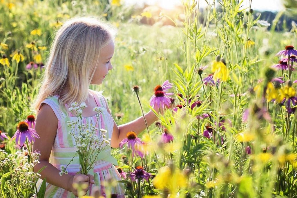 Foto: Mädchen in Blumenwiese, die innig die Blumen betrachtet